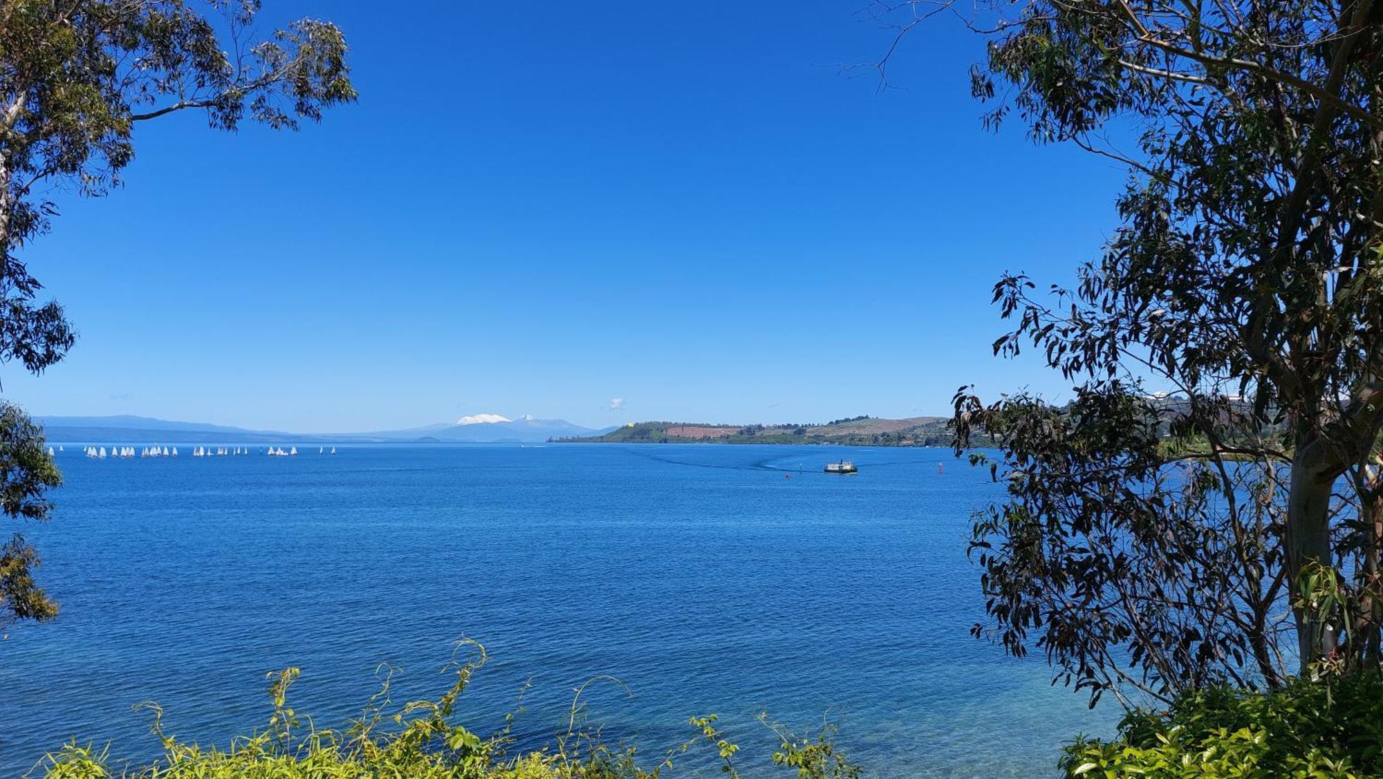 Bed And Breakfast Happy Home Taupo Accommodation Eksteriør bilde